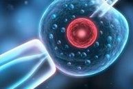 在襄阳市中心医院做试管婴儿要多少钱？成功率怎么样？附试管怀孕机构名单一览