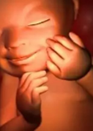 卵泡在试管婴儿成功率中的关键作用