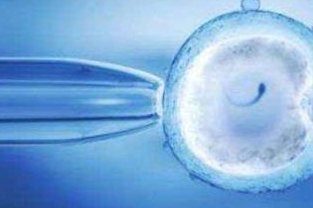 重度宫腔粘连在湖南省做试管婴儿靠谱吗，重度宫腔粘连试管婴儿成功率多少！